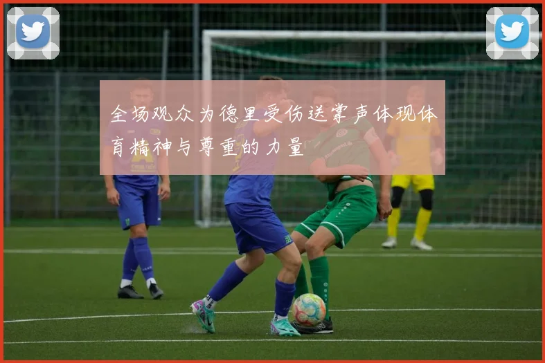 全场观众为德里受伤送掌声体现体育精神与尊重的力量